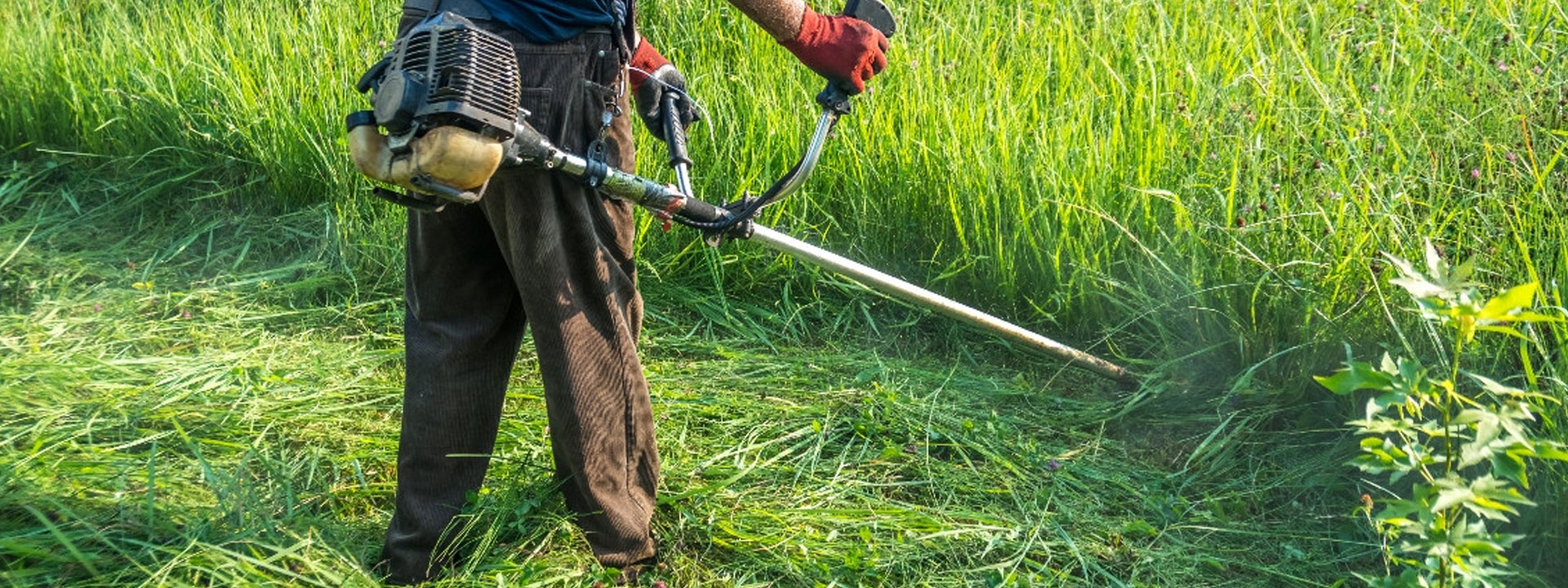 Casos de éxito: reducción de incendios gracias al desbroce