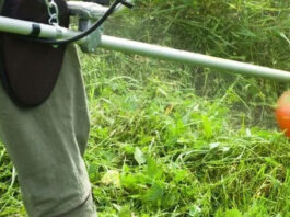 Desbroce anti incendios: clave para proteger el medio ambiente