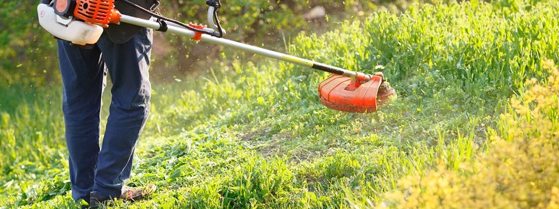 ¿Por qué es tan importante el desbroce anti incendios?