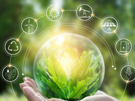 Cambia tu rutina, salva el planeta: 10 ideas sostenibles