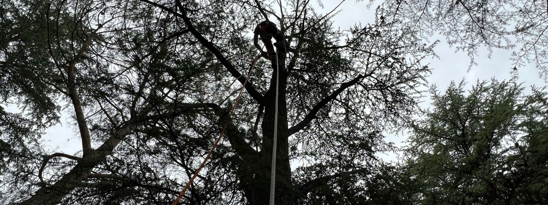 Profesionalidad y seguridad: el valor de la especialización