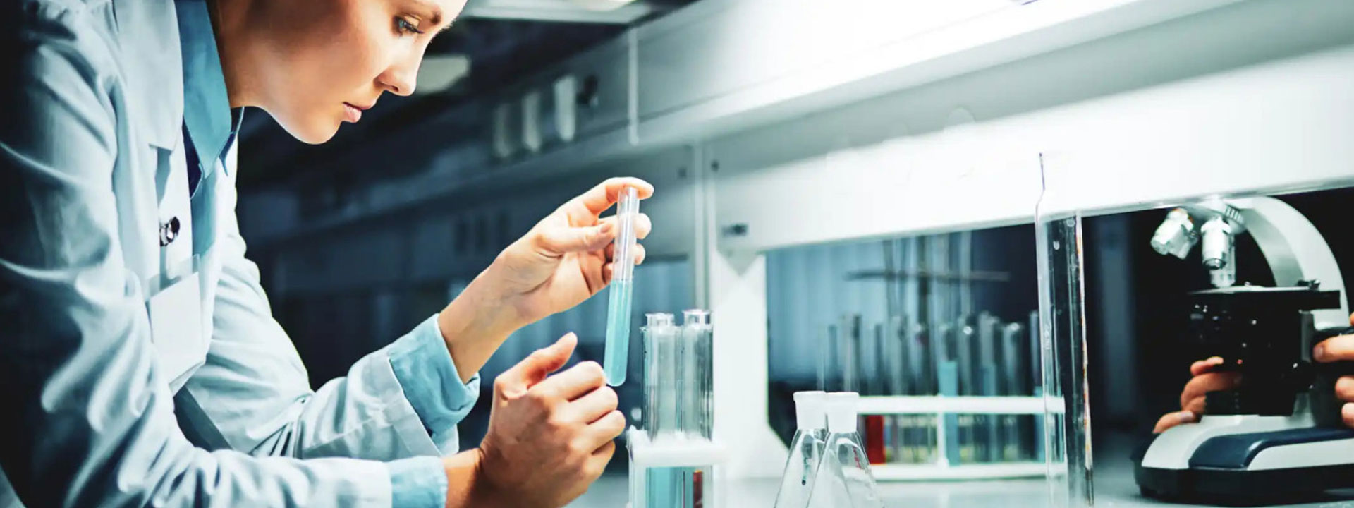 Tipos de sustancias tóxicas y sus fuentes